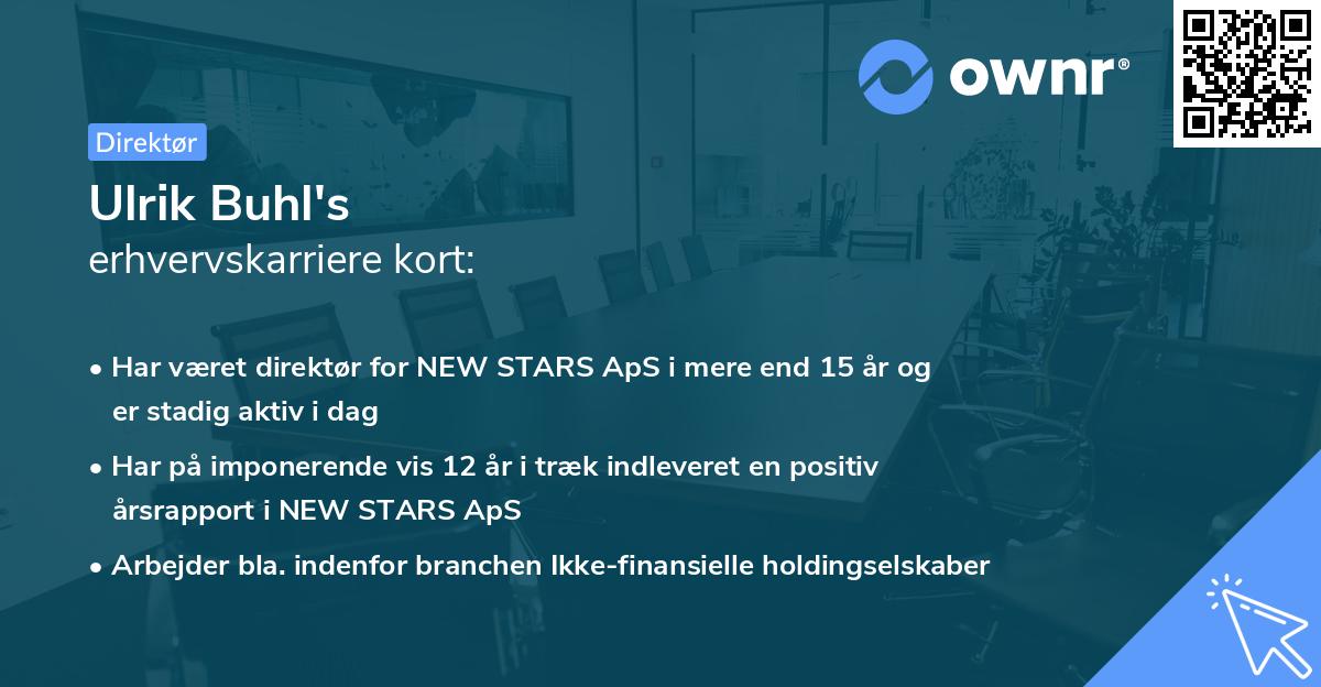 Ulrik Buhl's erhvervskarriere kort