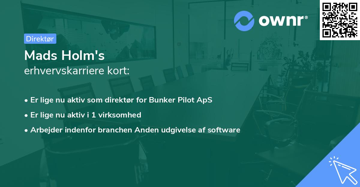 Mads Holm's erhvervskarriere kort