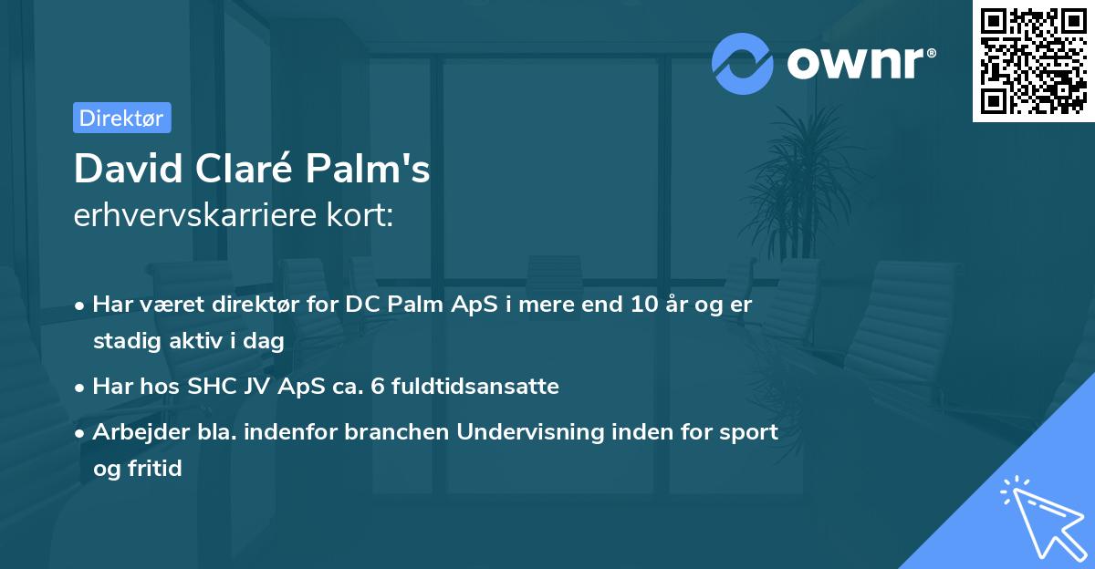 David Claré Palm's erhvervskarriere kort