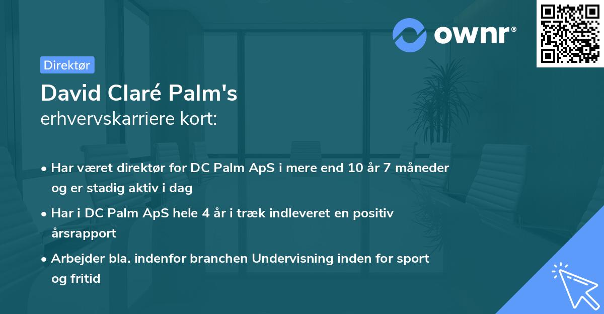 David Claré Palm's erhvervskarriere kort