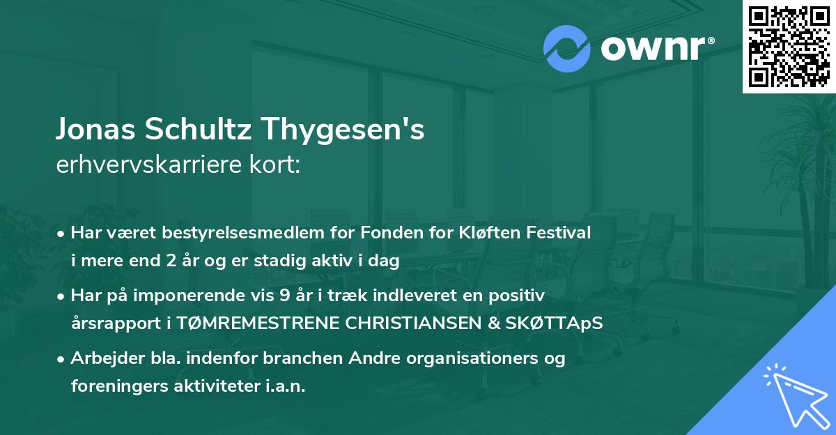 Jonas Schultz Thygesen's erhvervskarriere kort