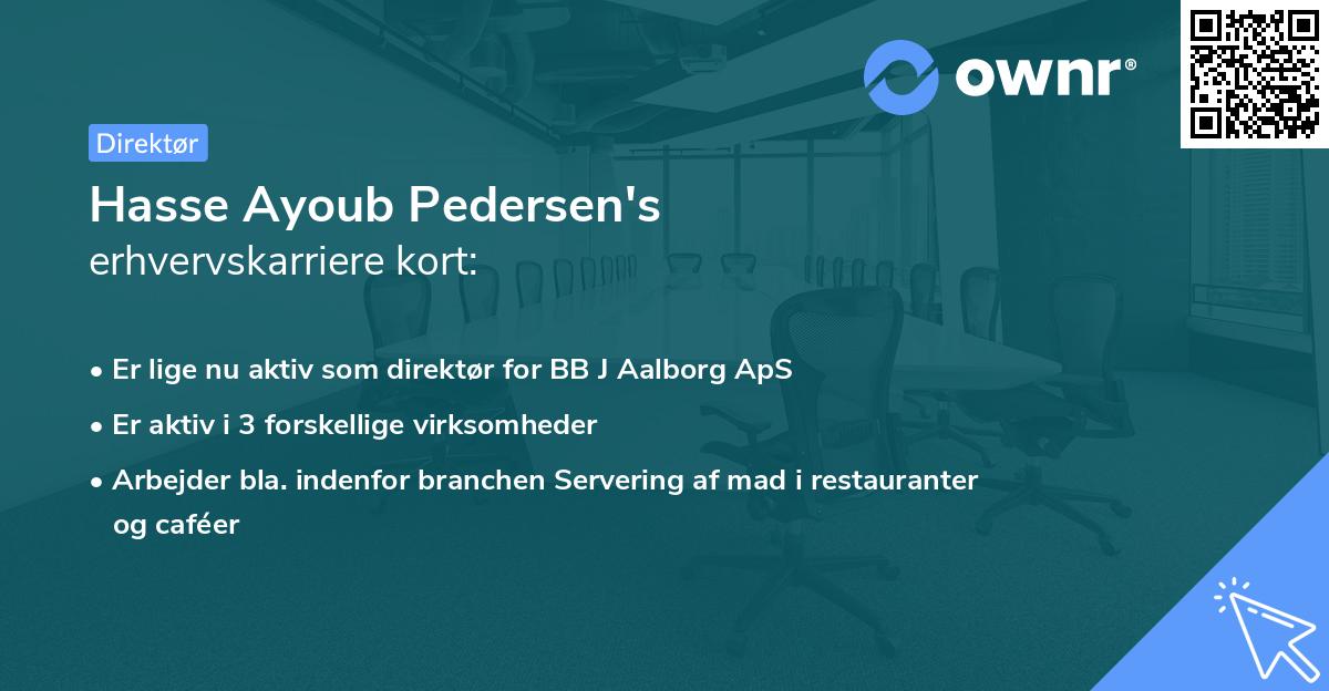 Hasse Ayoub Pedersen's erhvervskarriere kort