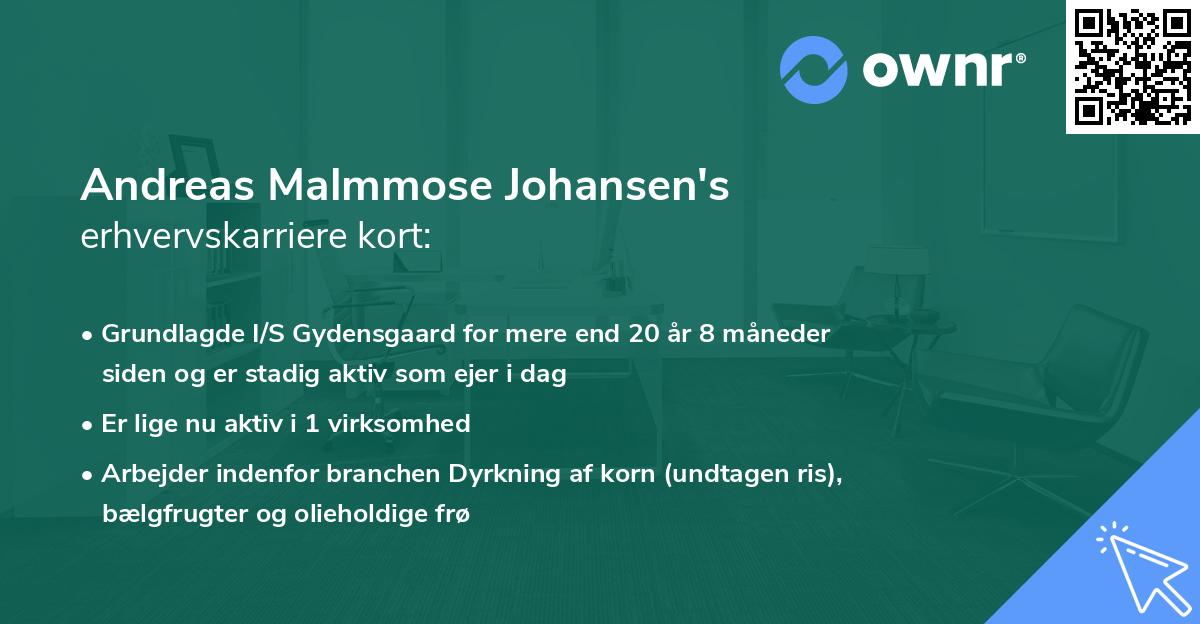 Andreas Malmmose Johansen's erhvervskarriere kort