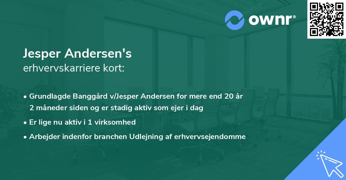 Jesper Andersen's erhvervskarriere kort