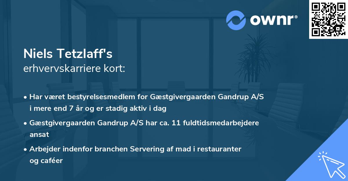Niels Tetzlaff's erhvervskarriere kort