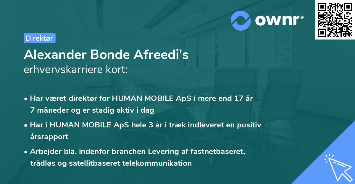 Alexander Bonde Afreedi's erhvervskarriere kort