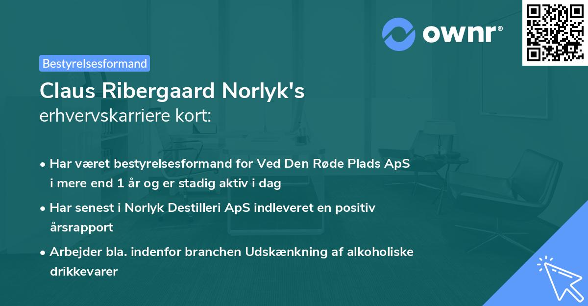 Claus Ribergaard Norlyk's erhvervskarriere kort
