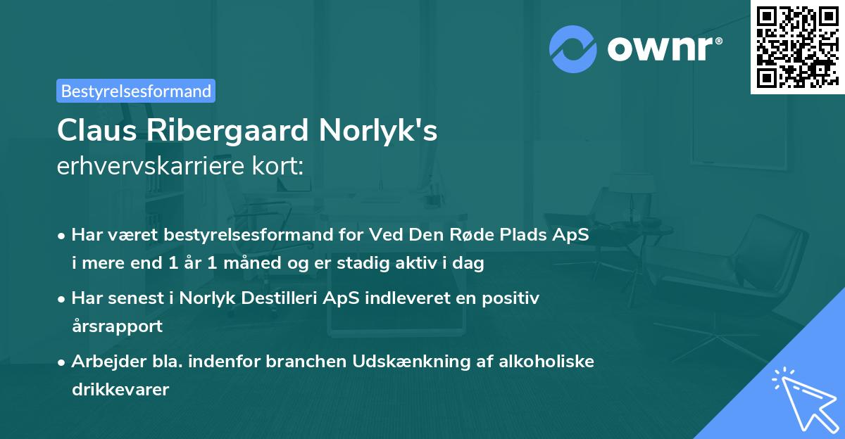 Claus Ribergaard Norlyk's erhvervskarriere kort