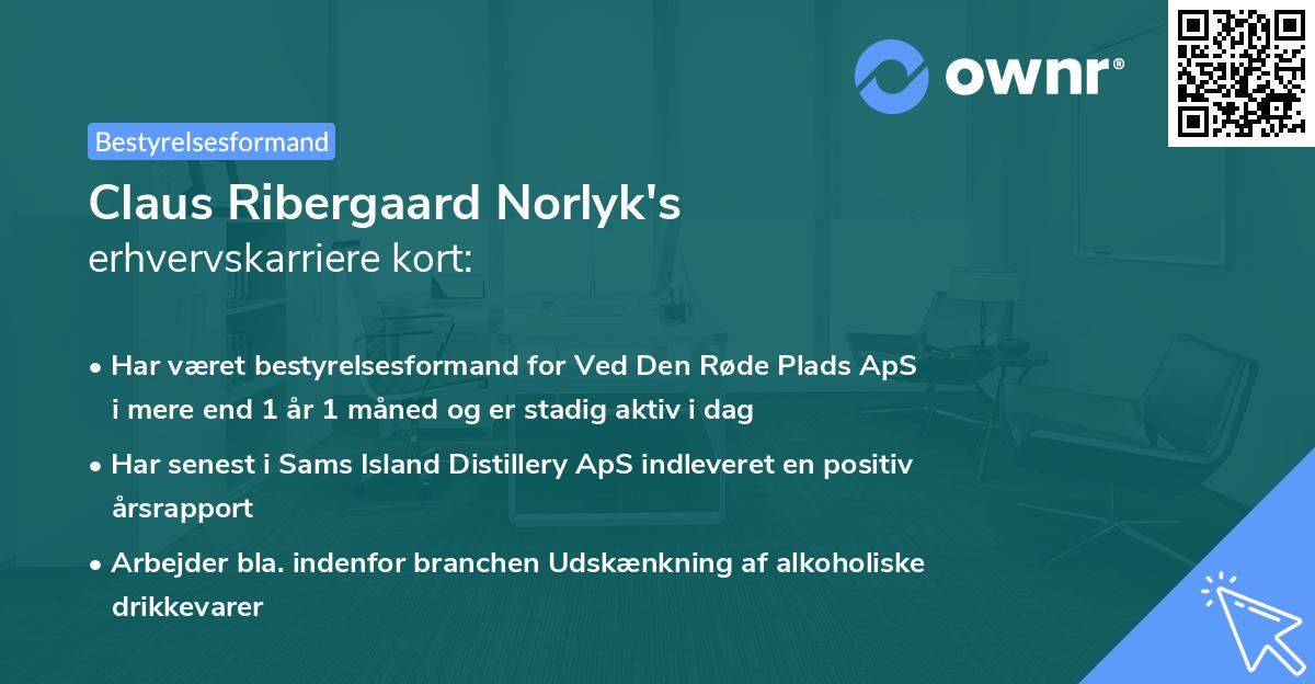 Claus Ribergaard Norlyk's erhvervskarriere kort