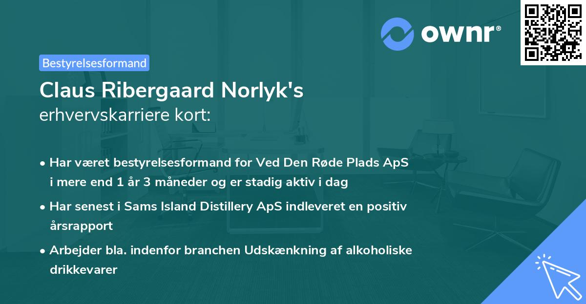 Claus Ribergaard Norlyk's erhvervskarriere kort