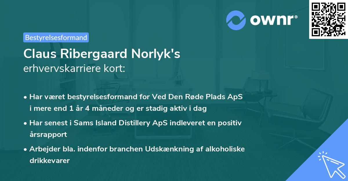 Claus Ribergaard Norlyk's erhvervskarriere kort