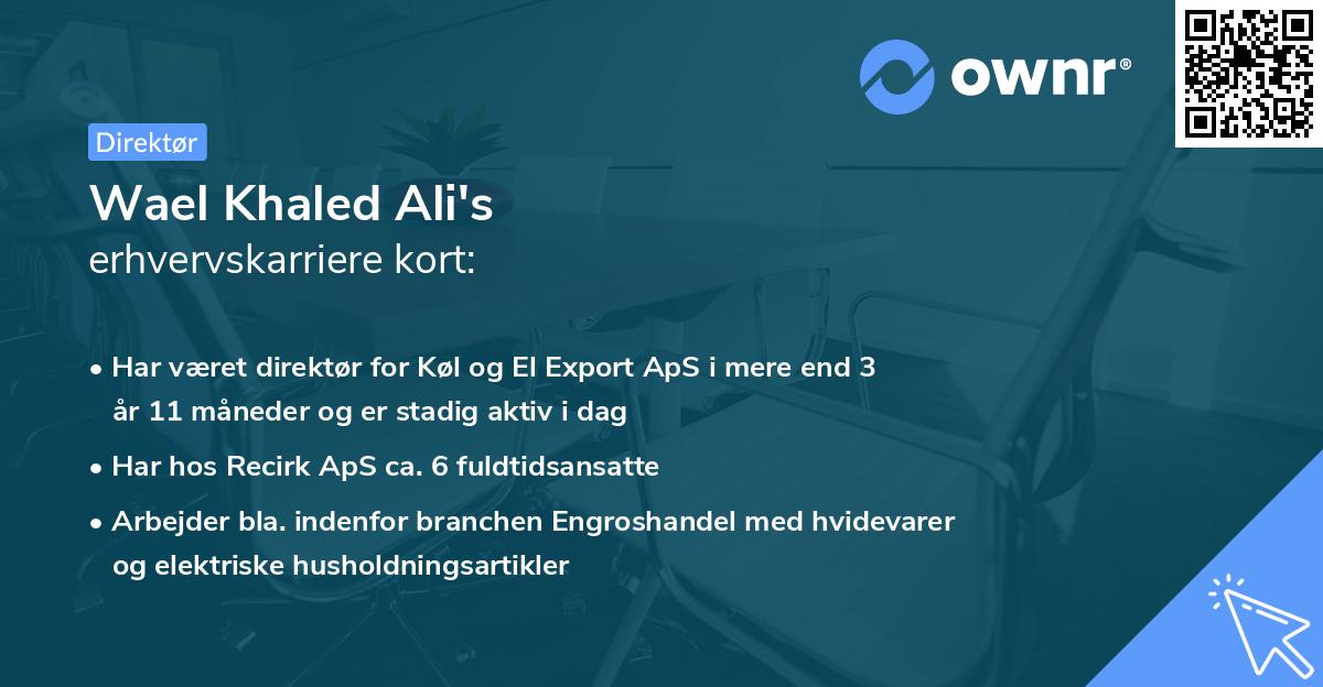 Wael Khaled Ali's erhvervskarriere kort