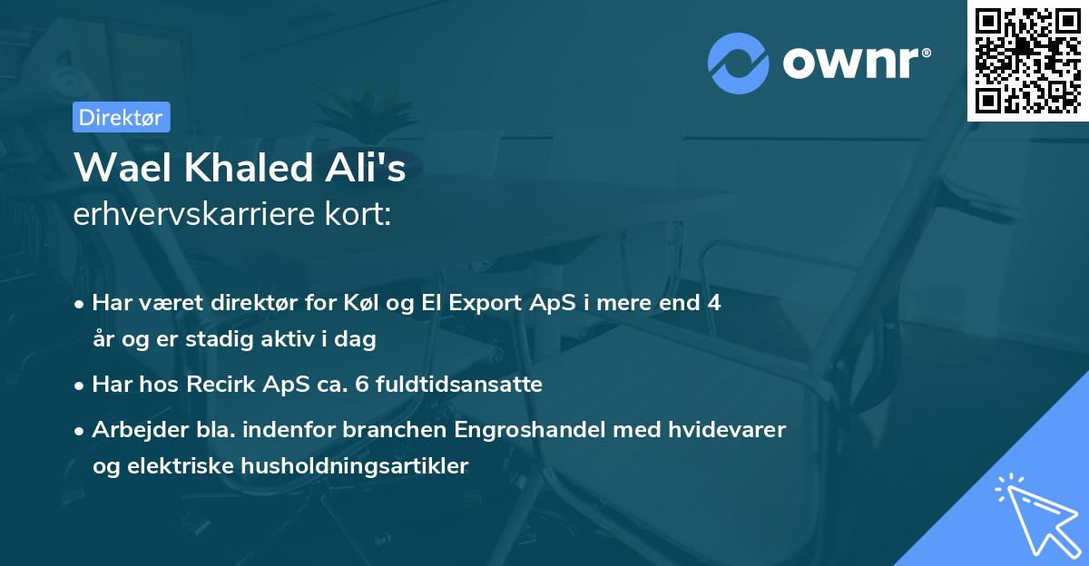 Wael Khaled Ali's erhvervskarriere kort