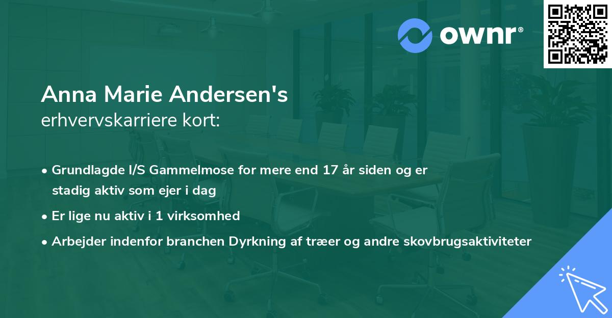 Anna Marie Andersen's erhvervskarriere kort
