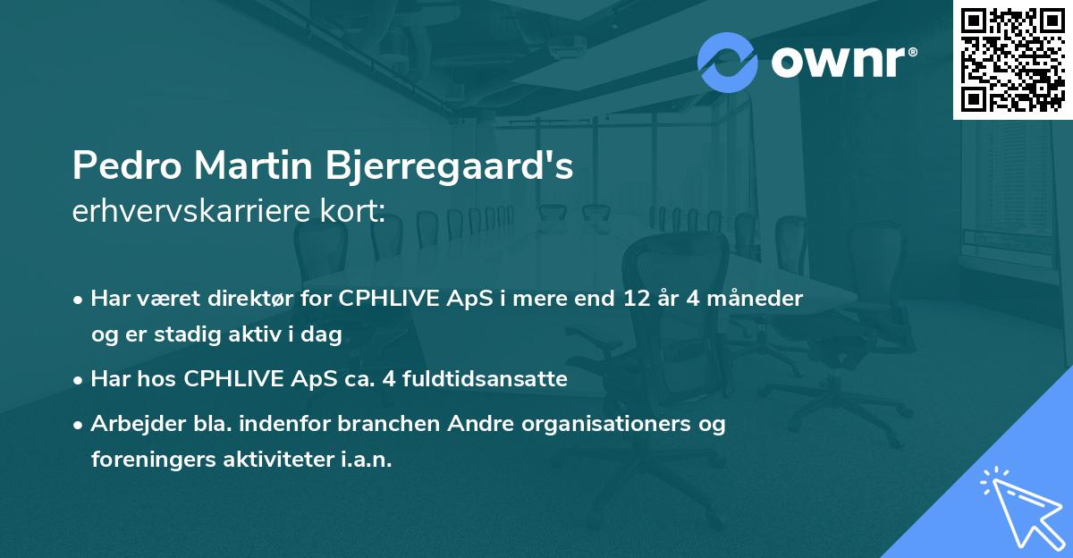 Pedro Martin Bjerregaard's erhvervskarriere kort