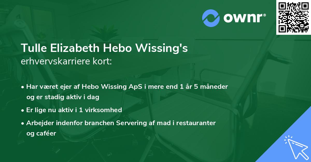 Tulle Elizabeth Hebo Wissing's erhvervskarriere kort