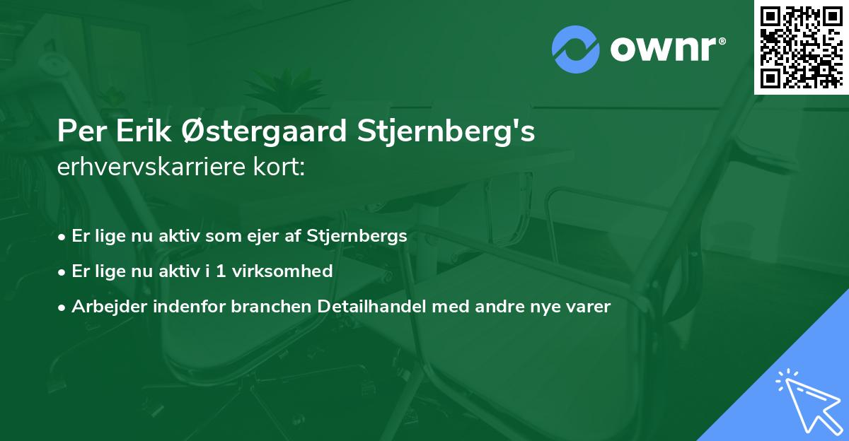Per Erik Østergaard Stjernberg's erhvervskarriere kort