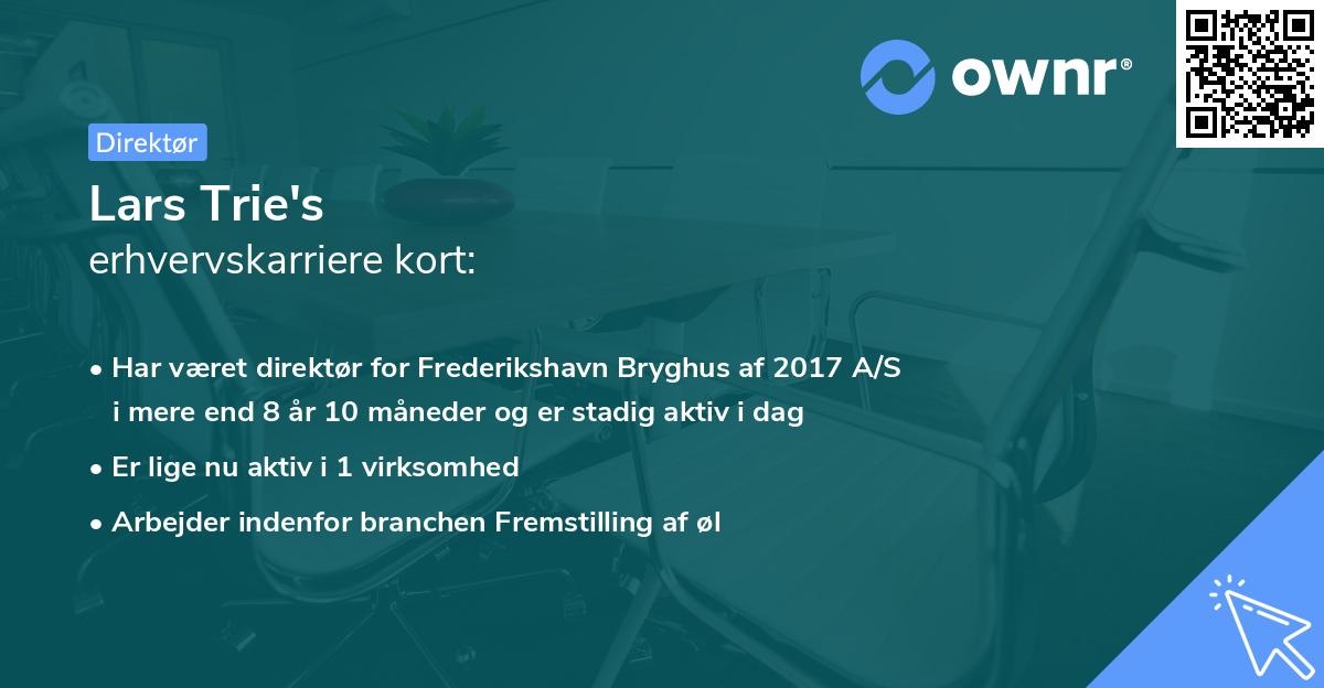 Lars Trie's erhvervskarriere kort
