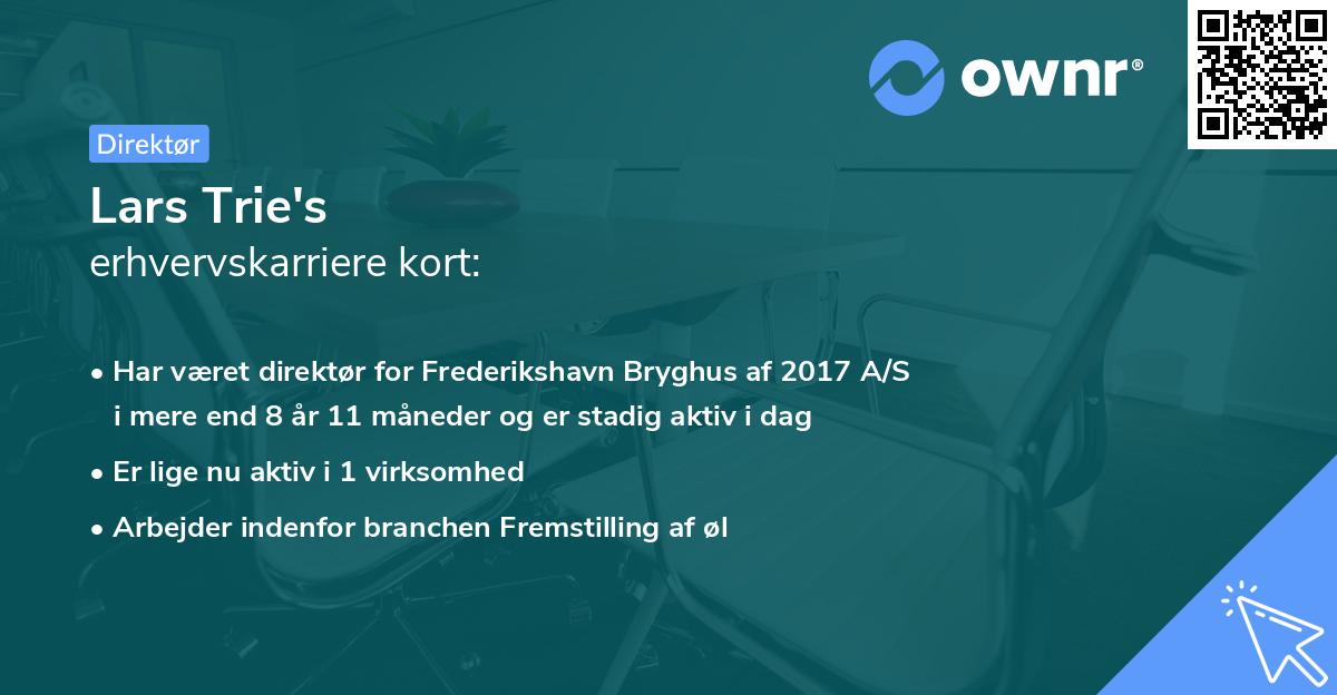 Lars Trie's erhvervskarriere kort
