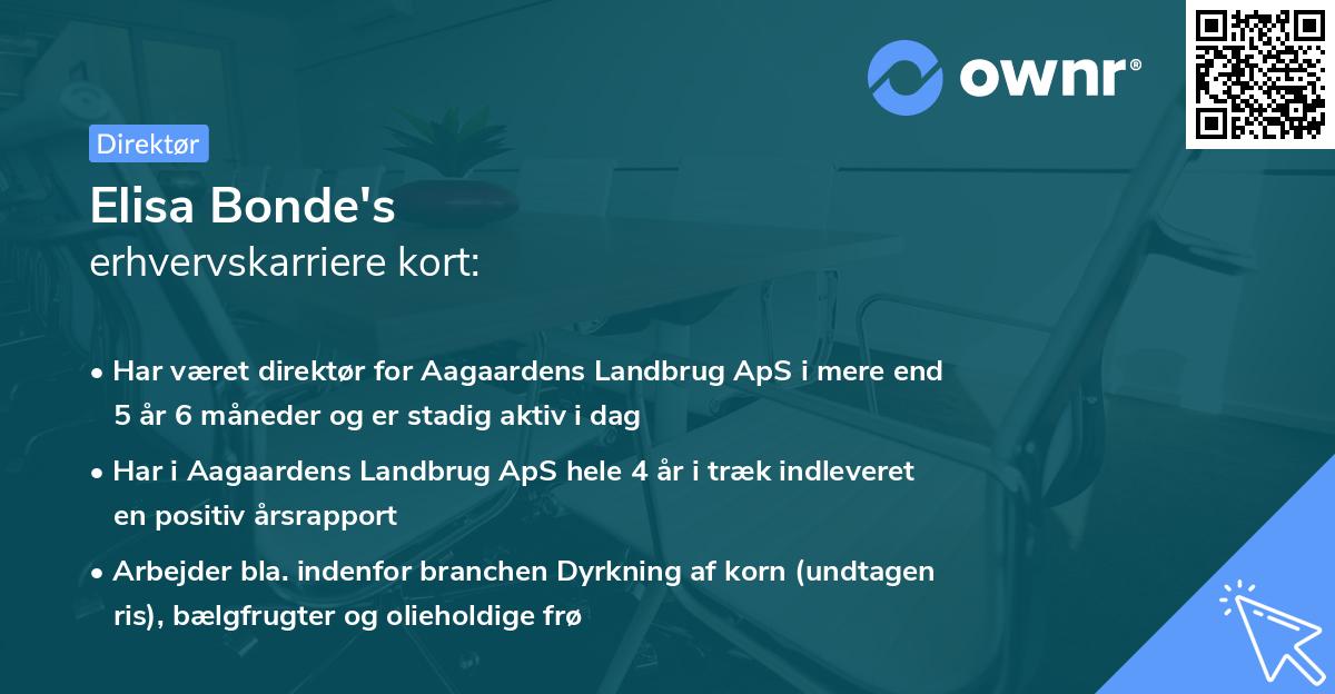 Elisa Bonde's erhvervskarriere kort