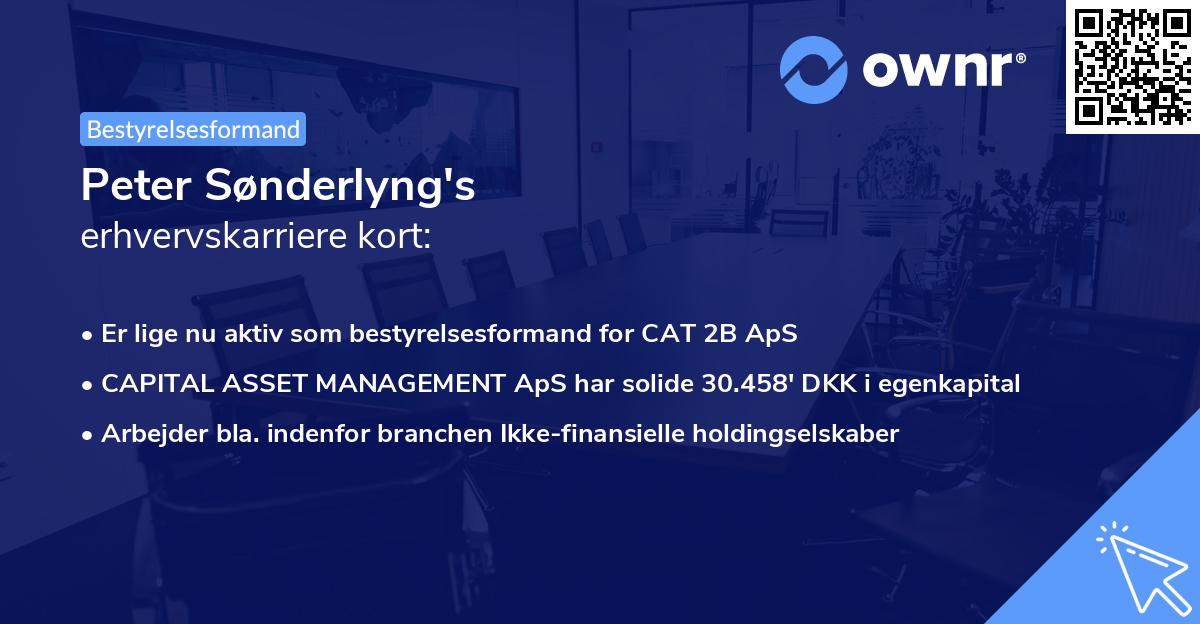 Peter Sønderlyng's erhvervskarriere kort