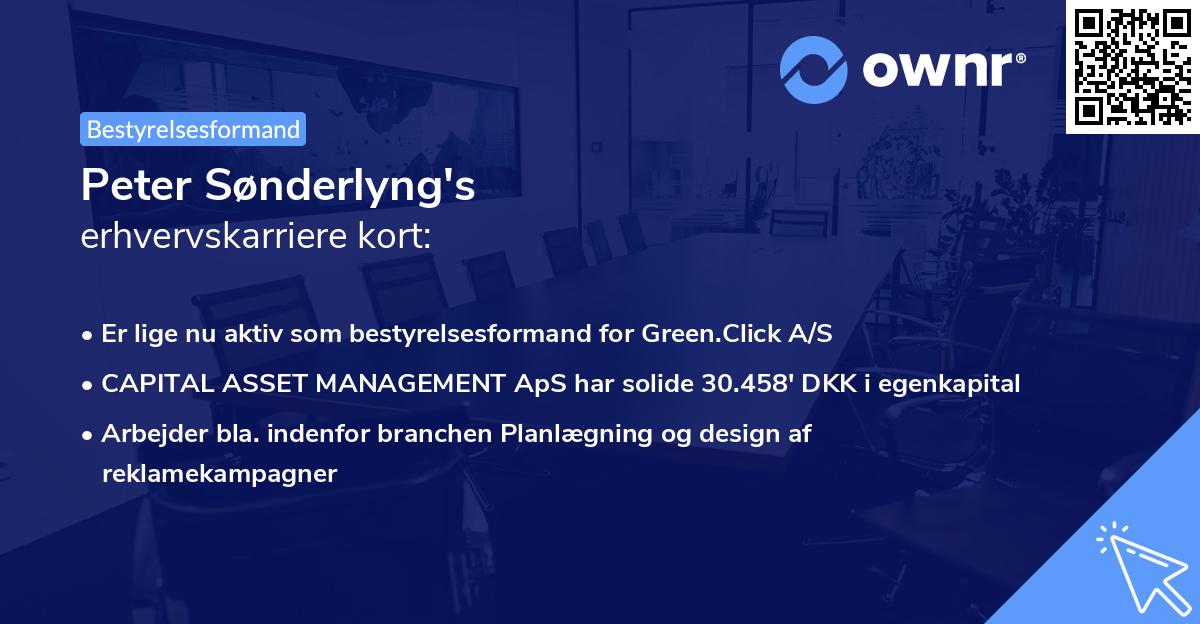 Peter Sønderlyng's erhvervskarriere kort