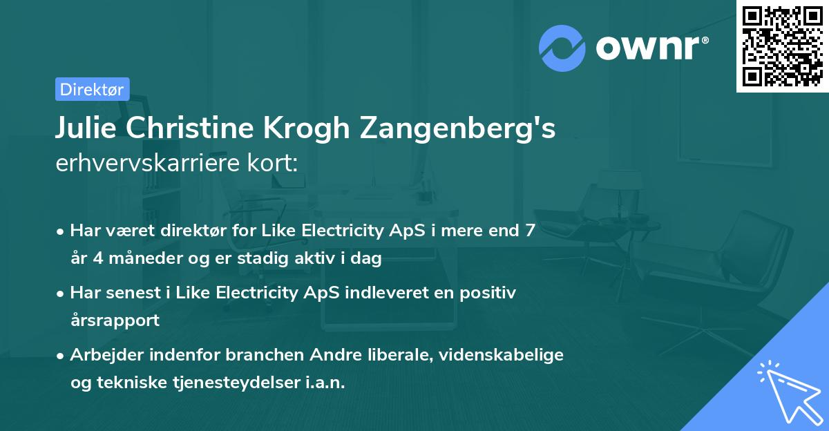 Julie Christine Krogh Zangenberg's erhvervskarriere kort