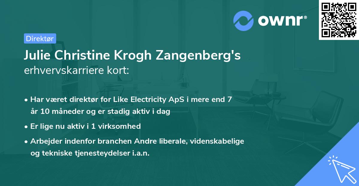 Julie Christine Krogh Zangenberg's erhvervskarriere kort