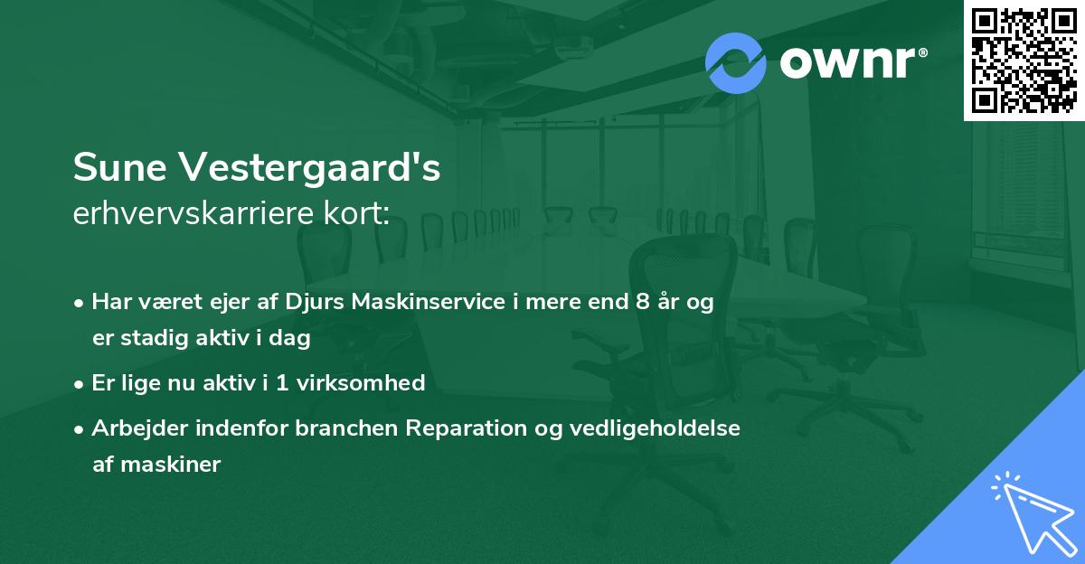 Sune Vestergaard's erhvervskarriere kort