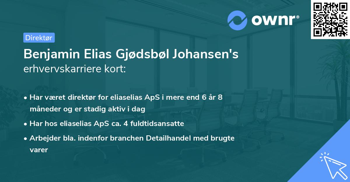 Benjamin Elias Gjødsbøl Johansen's erhvervskarriere kort