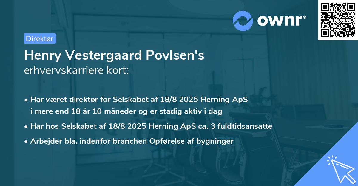 Henry Vestergaard Povlsen's erhvervskarriere kort
