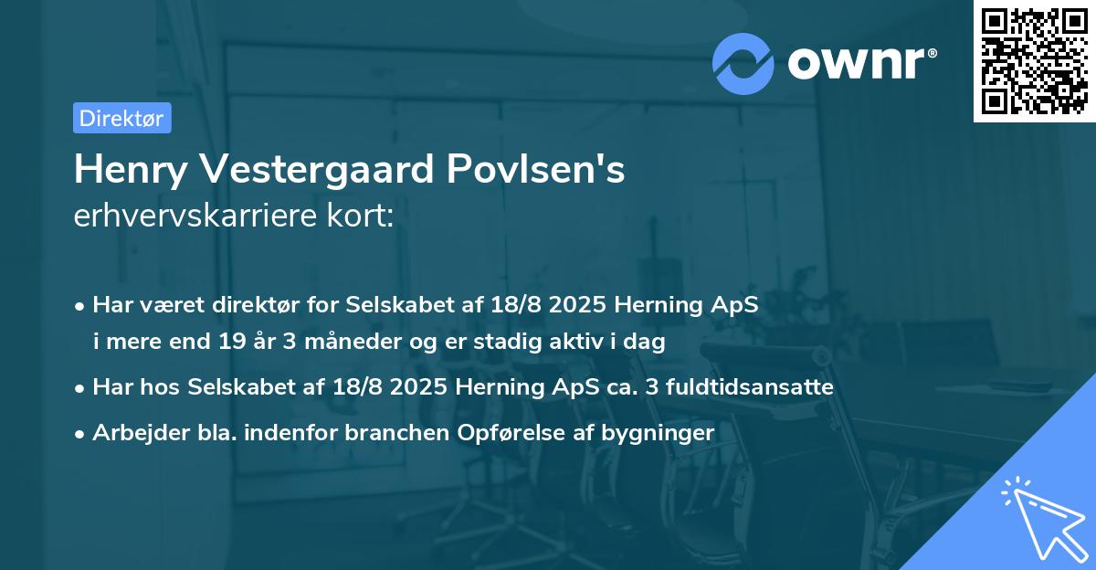 Henry Vestergaard Povlsen's erhvervskarriere kort