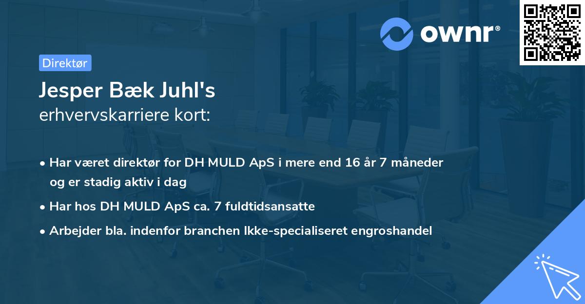 Jesper Bæk Juhl's erhvervskarriere kort