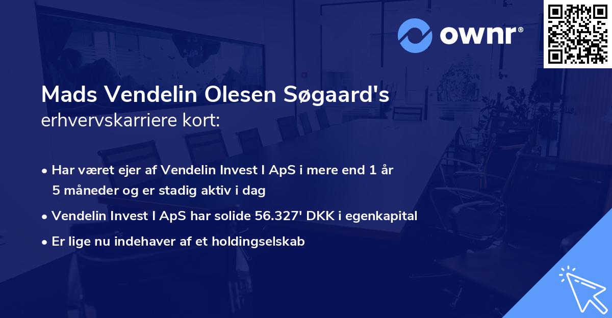 Mads Vendelin Olesen Søgaard's erhvervskarriere kort