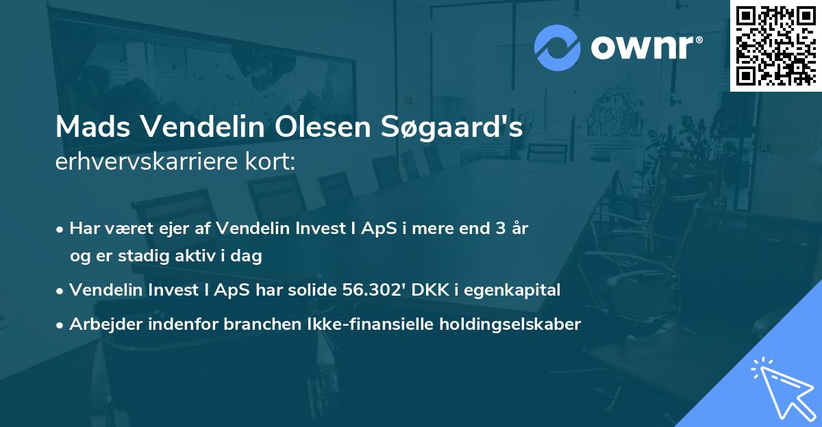 Mads Vendelin Olesen Søgaard's erhvervskarriere kort