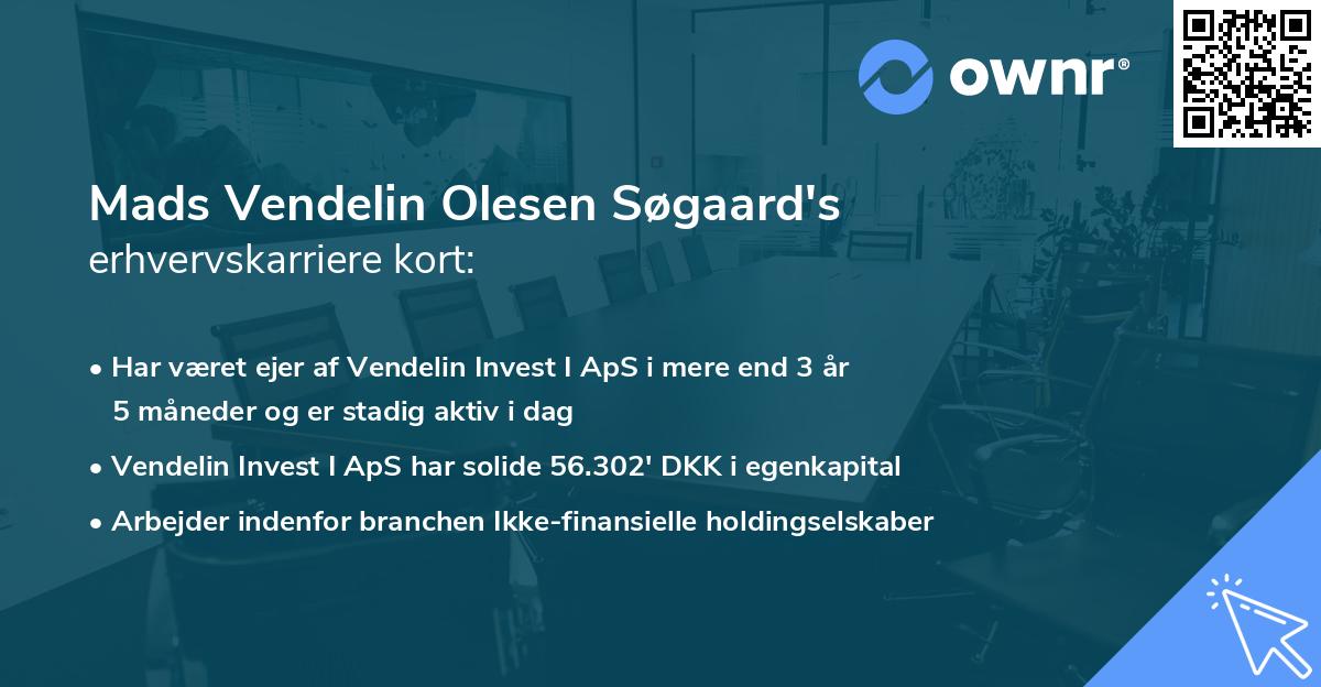 Mads Vendelin Olesen Søgaard's erhvervskarriere kort