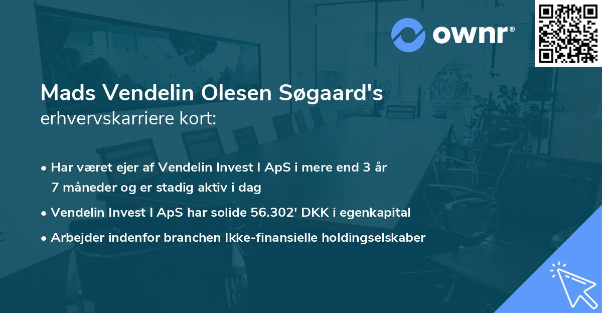 Mads Vendelin Olesen Søgaard's erhvervskarriere kort