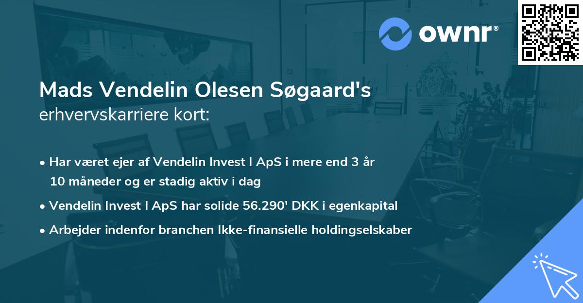 Mads Vendelin Olesen Søgaard's erhvervskarriere kort