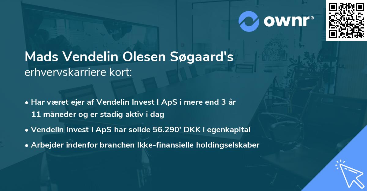 Mads Vendelin Olesen Søgaard's erhvervskarriere kort