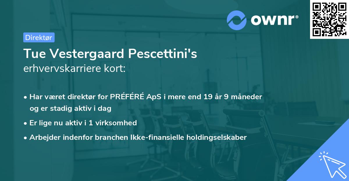 Tue Vestergaard Pescettini's erhvervskarriere kort