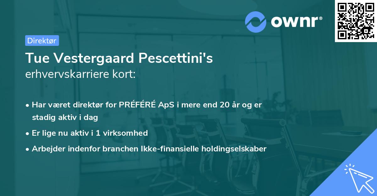 Tue Vestergaard Pescettini's erhvervskarriere kort
