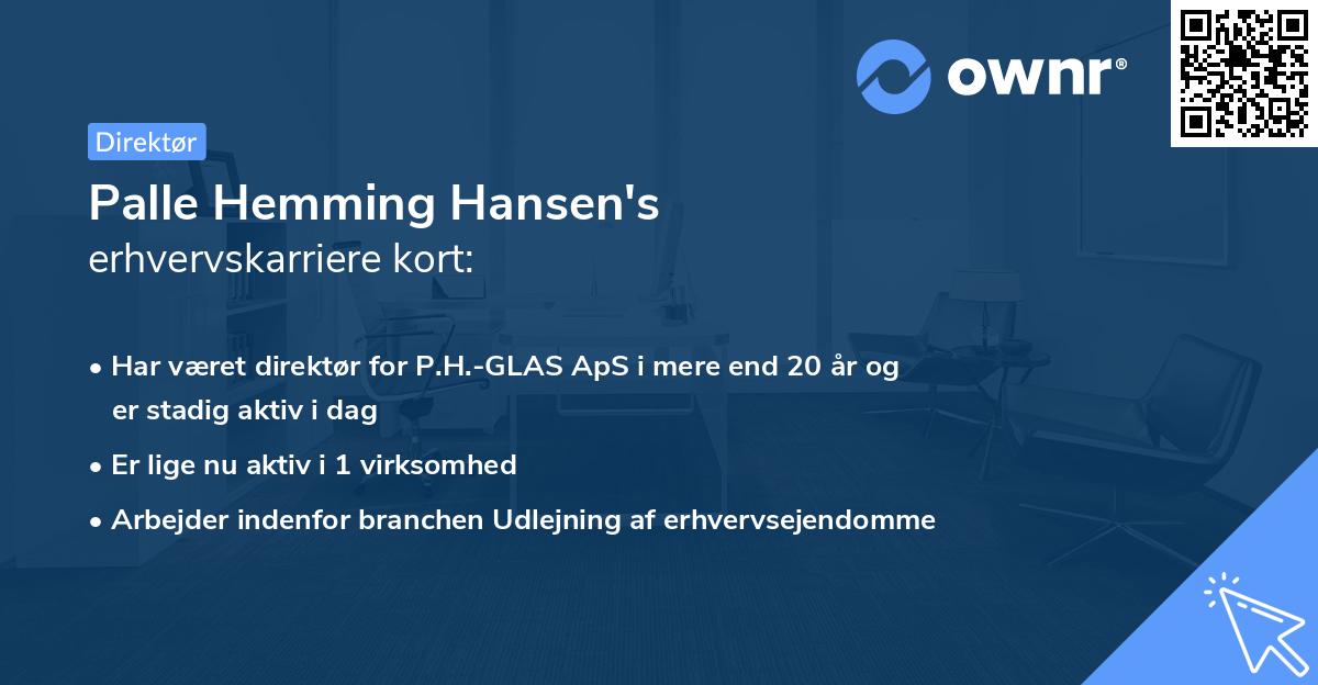 Palle Hemming Hansen's erhvervskarriere kort