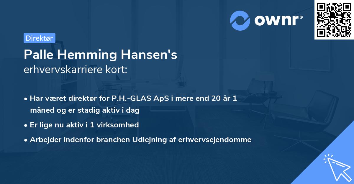 Palle Hemming Hansen's erhvervskarriere kort