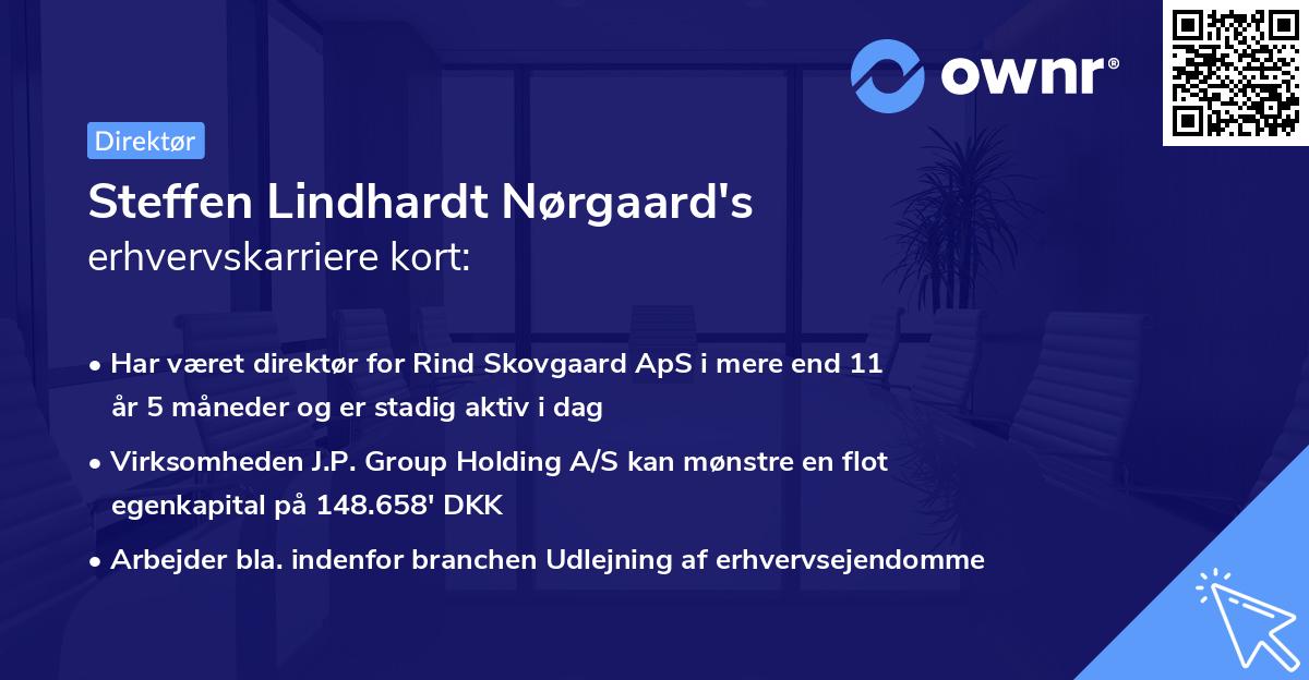 Steffen Lindhardt Nørgaard's erhvervskarriere kort