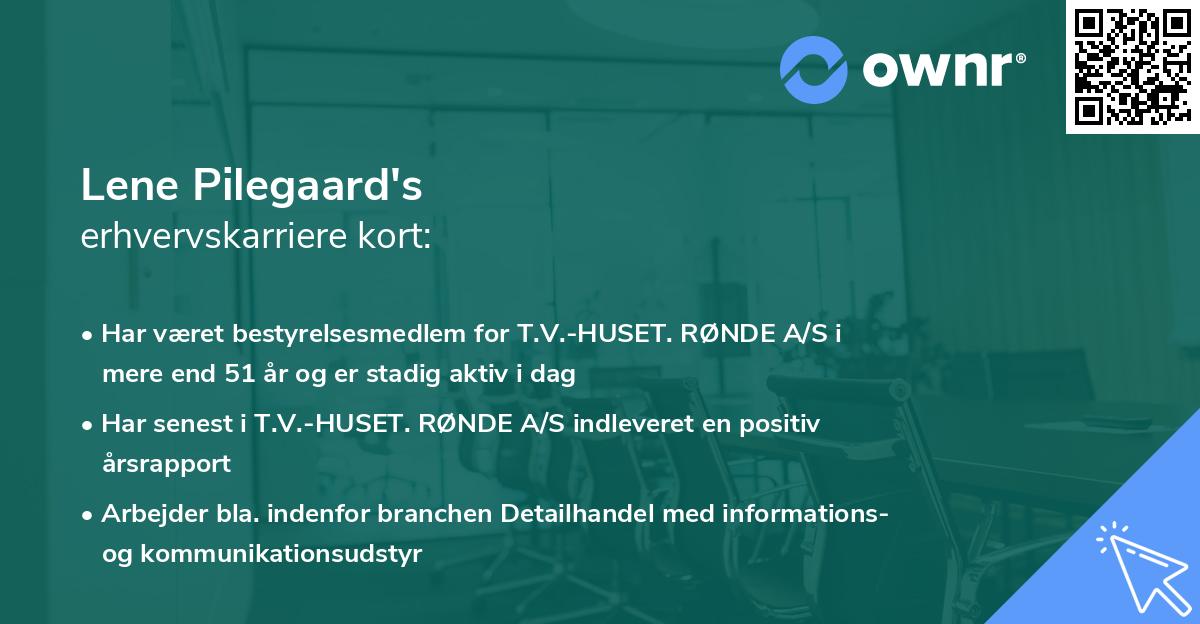 Lene Pilegaard's erhvervskarriere kort