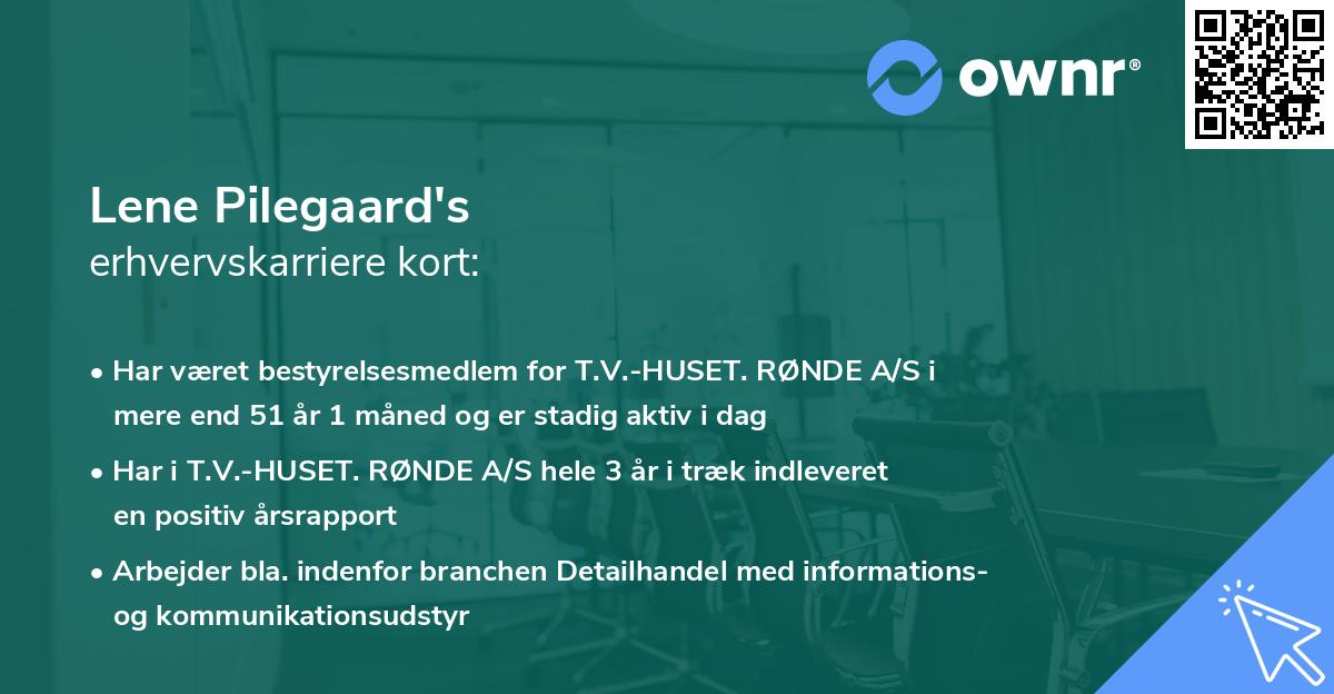 Lene Pilegaard's erhvervskarriere kort