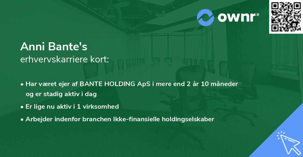 Anni Bante's erhvervskarriere kort