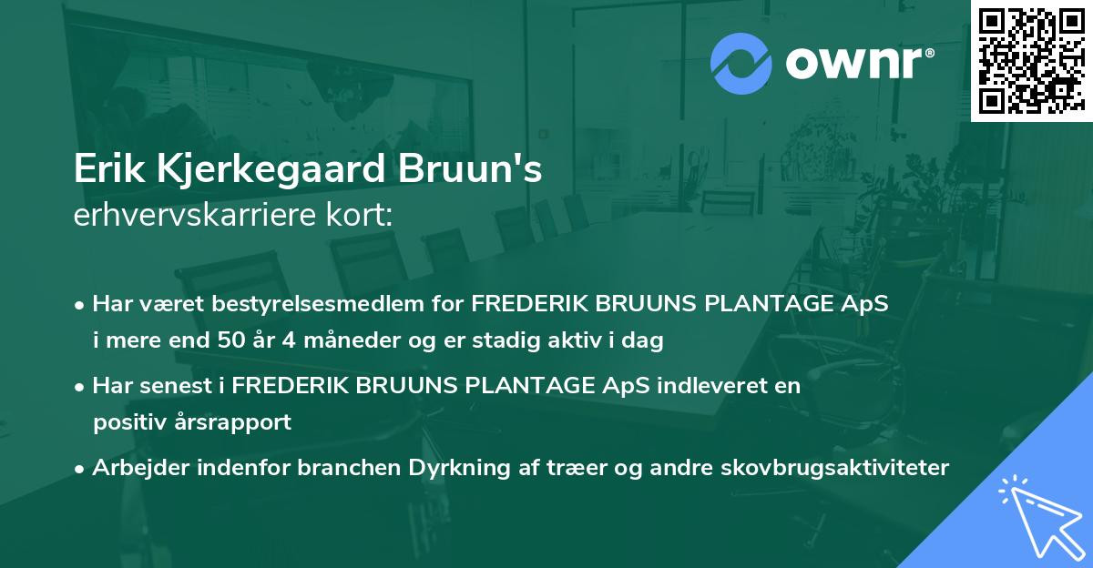 Erik Kjerkegaard Bruun's erhvervskarriere kort