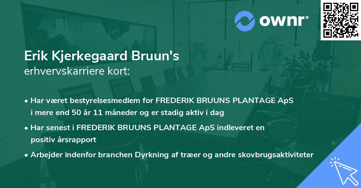 Erik Kjerkegaard Bruun's erhvervskarriere kort