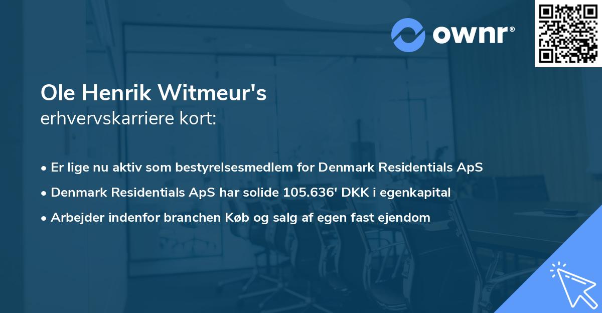 Ole Henrik Witmeur's erhvervskarriere kort